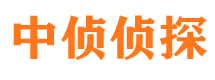 共和市私家侦探